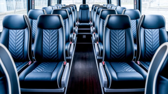 chico 15 passenger minibus rental